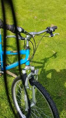 raleigh siren ladies mountain bike